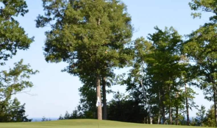 Golf hole with pin in the distance