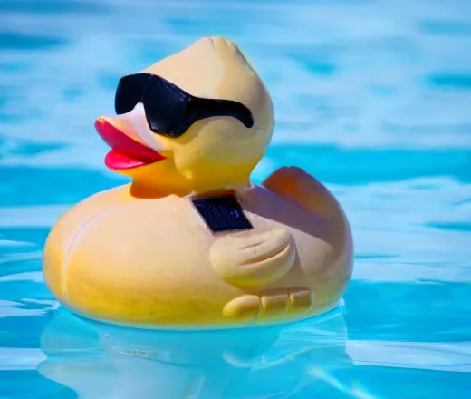 Rubber duck