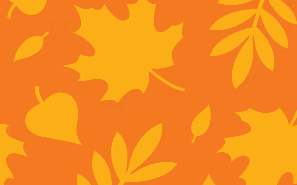 Fall leave background for our Fall 2 program session