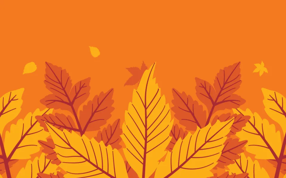 Fall leaves